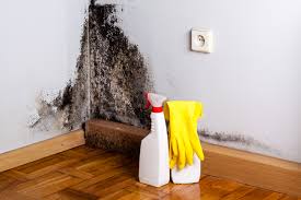  Bartonsville, MD Mold Removal Pros